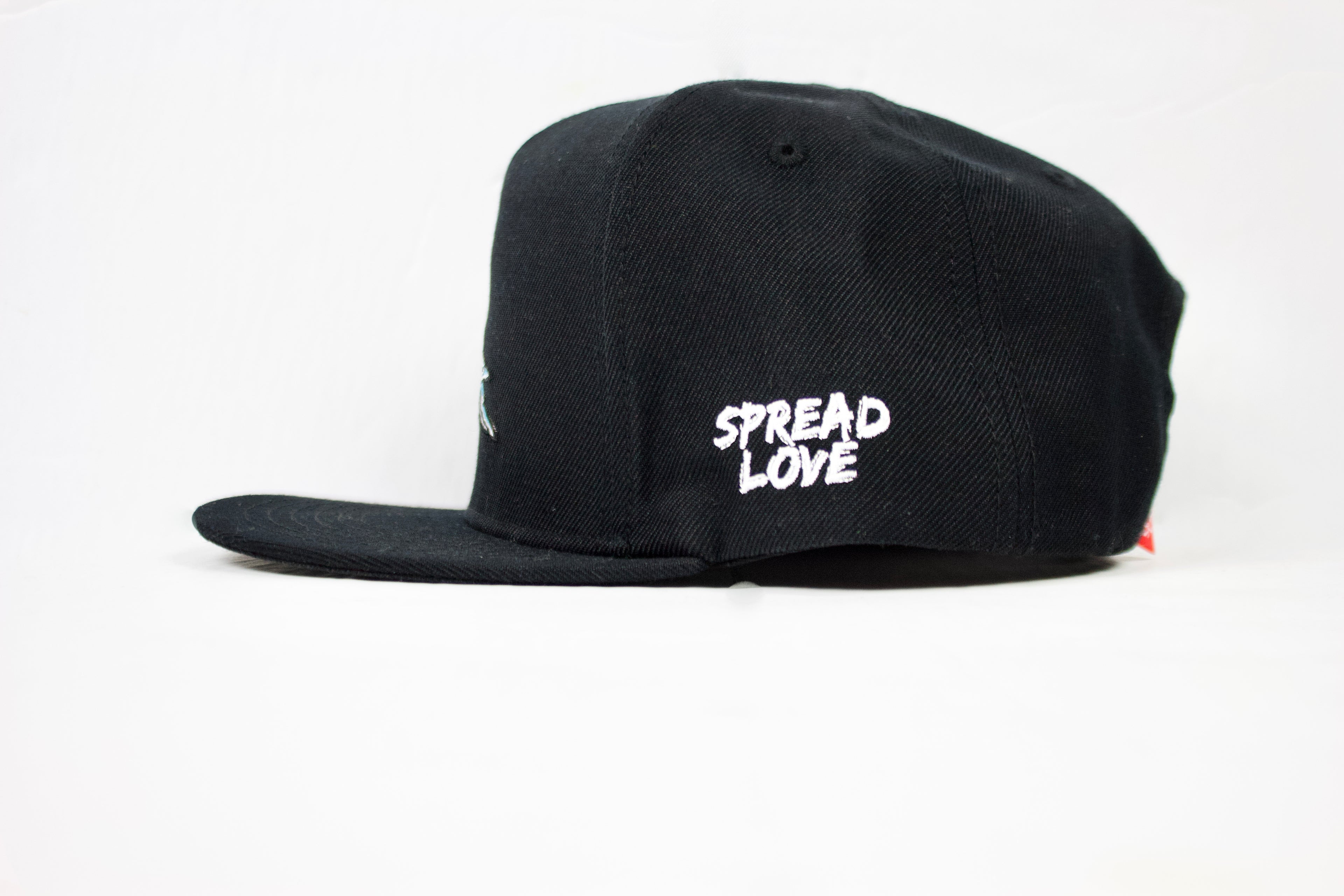 Spread Love - LOVEBIRD Snapback